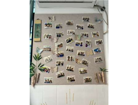 雅室绽风华，美景满仙桐——深圳市仙桐实验小学开展“最美教室”评比活动