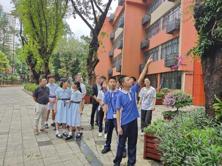 展项目式学习成果，探寻南药智慧之旅  ——罗湖实验学校师生演绎《南药智慧之旅》
