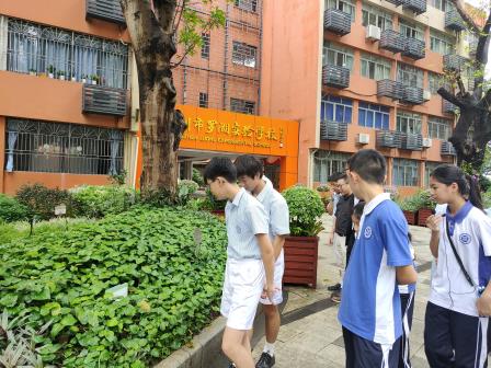 展项目式学习成果，探寻南药智慧之旅  ——罗湖实验学校师生演绎《南药智慧之旅》