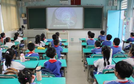 探索大脑奥秘，解锁学习力量 ——南湖小学开展校长课堂第十二讲