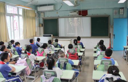 探索大脑奥秘，解锁学习力量 ——南湖小学开展校长课堂第十二讲