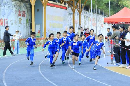 23人次刷新校记录，创历届之最！——深圳市仙桐实验小学举办第十届运动会