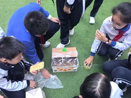 校园爱心大救援：螺岭锦星学校师生合力救助国家“三有”保护动物暗绿绣眼鸟