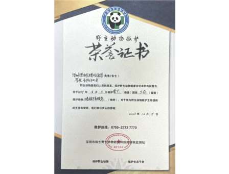 校园爱心大救援：螺岭锦星学校师生合力救助国家“三有”保护动物暗绿绣眼鸟