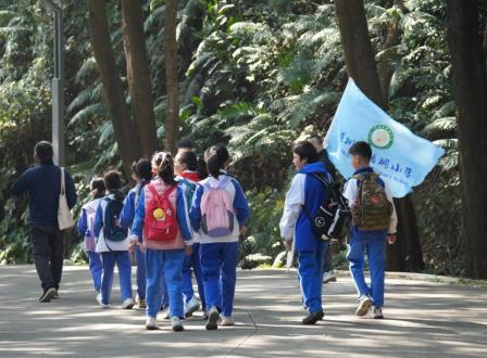 追寻山海群鸟，探索自然奇趣 ——深圳市梧桐小学开展开展“每周半天”山海特色研学活动