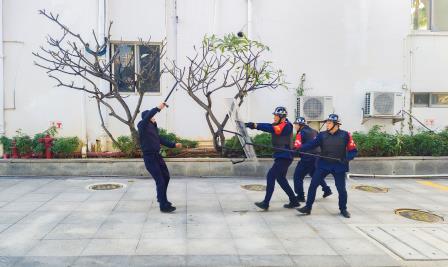 “含锦量”100 %| 深圳市翠园文锦中学2024年度十大亮点