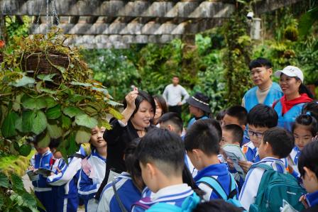“每周半天计划”之发掘植物世界的秘密——罗湖未来学校麦田团队的仙湖植物园阴生园探秘之旅