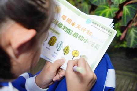 “每周半天计划”之发掘植物世界的秘密——罗湖未来学校麦田团队的仙湖植物园阴生园探秘之旅