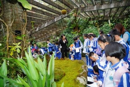 “每周半天计划”之发掘植物世界的秘密——罗湖未来学校麦田团队的仙湖植物园阴生园探秘之旅