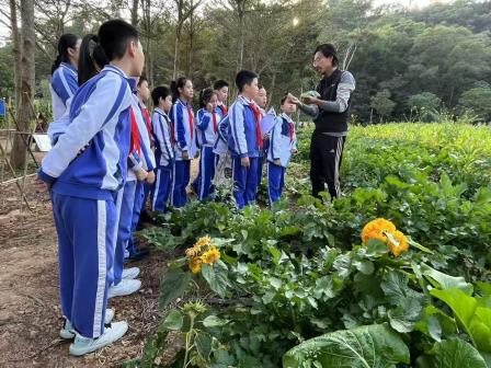 淘金山小学师生参加“大爱罗湖慈善生态基地”揭牌仪式暨农耕丰收体验活动