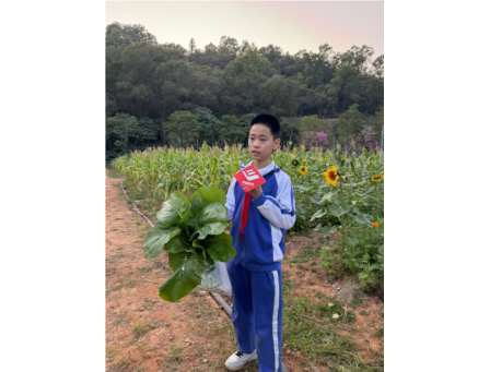 淘金山小学师生参加“大爱罗湖慈善生态基地”揭牌仪式暨农耕丰收体验活动