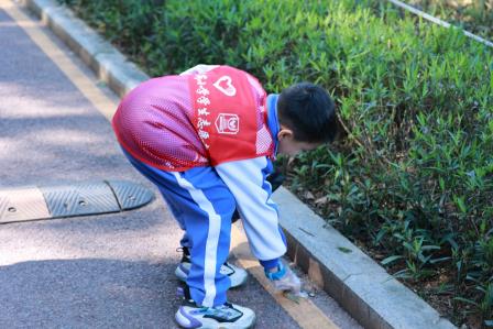 守护绿色家园，争当环保先锋 ——笋岗小学家校联合会举行亲子环保徒步活动