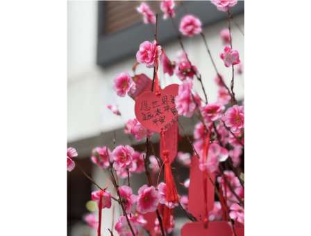 翠茵学校开学日：心愿树前寄梦想 典礼声中启未来