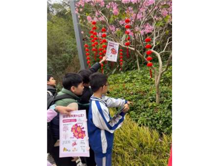 探索春天的秘密，红岗公园植物奇遇记 ——罗湖未来学校晨光团队开展红岗公园导赏活动 