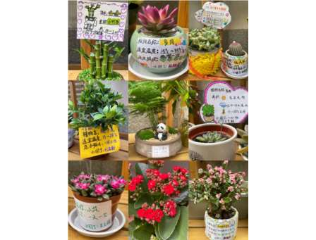 春暖花开·“植”得期待—深圳市红桂小学开展植树节绿植捐赠养护活动 　　 　　