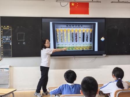 绿野寻叶记——深圳市罗湖未来学校星火团队开展半天户外实践活动