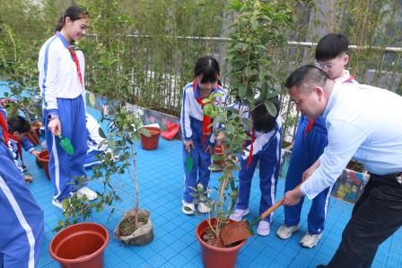 “认领一棵树，守护一片绿”——布心小学开展植树节活动