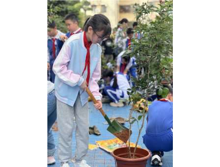 “认领一棵树，守护一片绿”——布心小学开展植树节活动