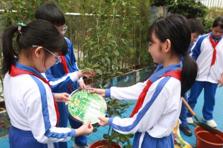 “认领一棵树，守护一片绿”——布心小学开展植树节活动