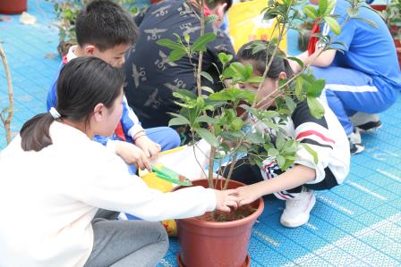 “认领一棵树，守护一片绿”——布心小学开展植树节活动