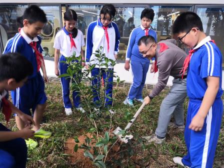 植绿护绿绘新景，雷锋精神永传承——深圳市莲南教育集团安芳小学开展植树节活动