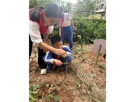 植此青绿，共树春晖 ——深圳市向西小学开展“美育一件事”植树节主题实践活动
