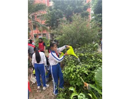 植此青绿，共树春晖 ——深圳市向西小学开展“美育一件事”植树节主题实践活动