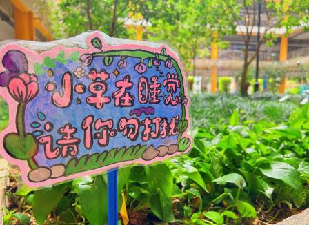 植此青绿，共树春晖 ——深圳市向西小学开展“美育一件事”植树节主题实践活动