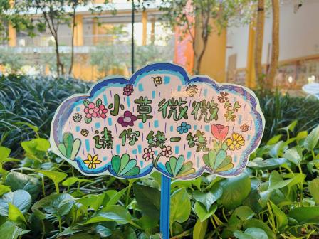 植此青绿，共树春晖 ——深圳市向西小学开展“美育一件事”植树节主题实践活动