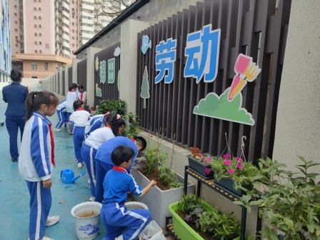 践行雷锋精神，共建绿色校园 ——锦田小学开展学习雷锋暨绿色种植实践活动