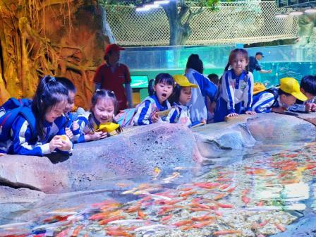 探索海洋奥秘 科普海洋知识——深圳市仙桐实验小学开展春季社会实践活动