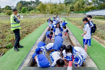 快乐游学，探索艺术与自然之美 ——深圳市泰宁小学1-3年级学生开展春季社会实践活动