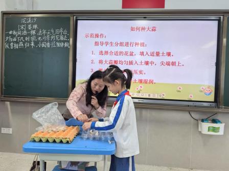视导赋能新苗长，破茧展翅启新航 —— 罗湖区教科院赴东昌小学开展新教师教学基本功达标视导行动
