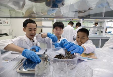 科技与探索的奇妙之旅——深圳市红桂小学“每周半天计划”校外实践活动