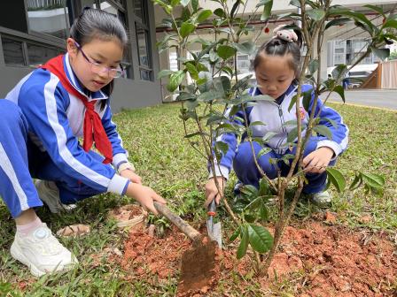 党徽映照红领巾   丹桂香飘满东晓——深圳市东晓小学植树节主题活动暨“手拉手”活动圆满举行