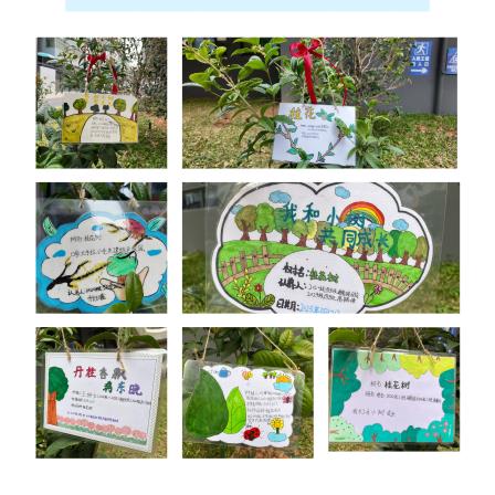 党徽映照红领巾   丹桂香飘满东晓——深圳市东晓小学植树节主题活动暨“手拉手”活动圆满举行