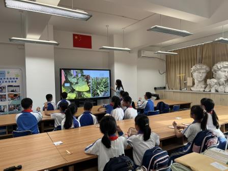 山海植语，绿满校园 ——深圳市梧桐小学开展“植物园进校园”之植物铭牌悬挂活动