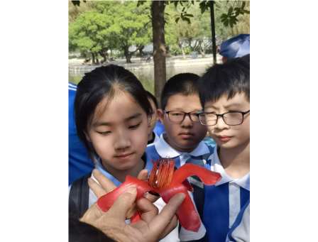 发现自然之美，践行美育浸润   ——罗湖小学“蕾蕾锋锋”开展“每周半天计划”校外研学活动