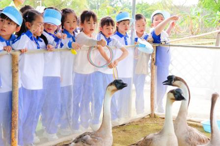 非遗邂逅科技，碧波小学研学之旅点亮智慧火花