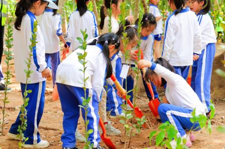 非遗邂逅科技，碧波小学研学之旅点亮智慧火花