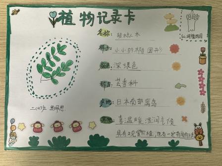 春“锋”暖人心，劳动践初心—— 深圳市翠竹外国语实验学校迟彦名班主任工作室成员班级雷锋月主题活动