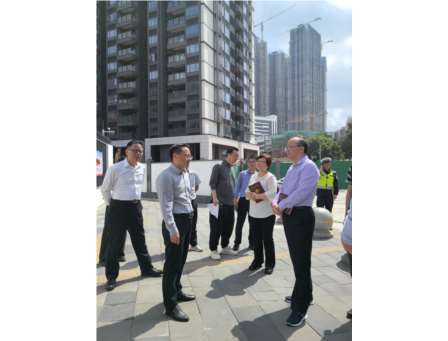 东晓小学开展交通安全专题调研
