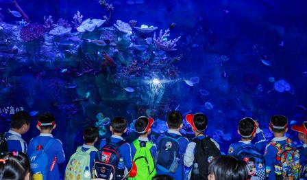 邂逅蓝色深海 探秘奇妙海洋——深圳市人民小学开展春季社会实践活动  
