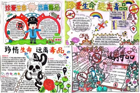 勇当禁毒小先锋   朝阳少年正行动——东晓小学2025禁毒宣传教育系列活动圆满落幕