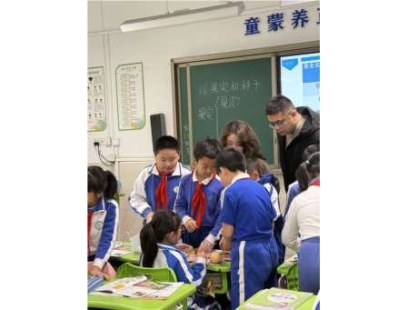 罗湖区教科院到桂园小学开展2025年新教师“10项基本功”过关考核视导