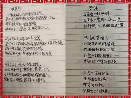 缅怀先烈承遗志 童心向党筑未来——深圳市向西小学向阳中队开展清明节专题教育活动