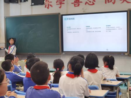 红蕾映童心，植绿润成长——深圳市洪湖小学开展‘簕杜鹃认养计划‘劳动教育实践