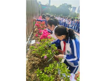 红蕾映童心，植绿润成长——深圳市洪湖小学开展‘簕杜鹃认养计划‘劳动教育实践