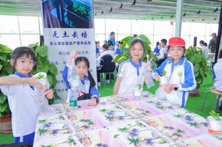 “乐享田园之美，智探劳动之趣”——锦田小学开展沉浸式劳动教育实践活动