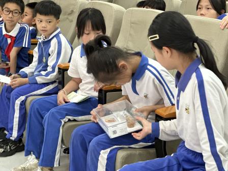 守护生态安全从小学起——翠茵学校开展“防范外来物种入侵”科普讲座  